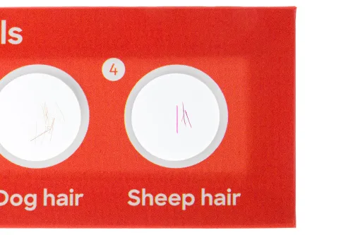 foto set de 12 preparaciones Levenhuk Discovery Fauna,  4