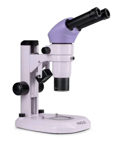 imagen estereomicroscopio MAGUS Stereo A6,  2