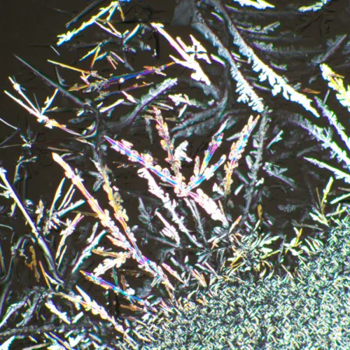 imagen kit de polarizador/analizador MAGUS SPD1,  6