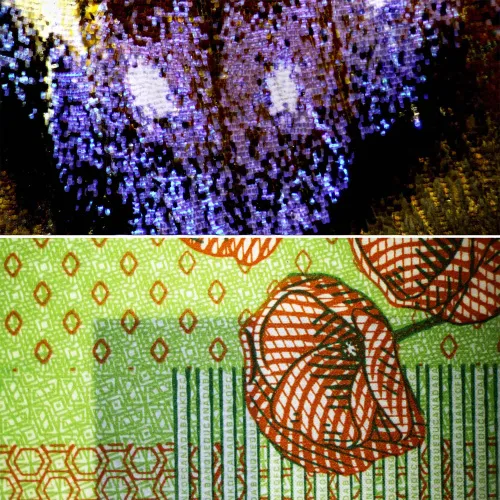 imagen estereomicroscopio Bresser Science ETD 301,  5