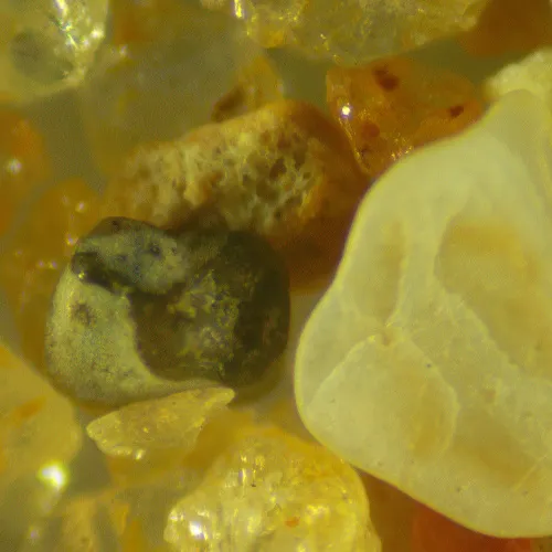 foto estereomicroscopio digital MAGUS Stereo D9T,  25