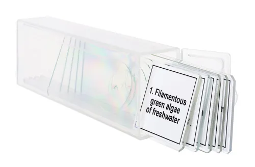 foto set de preparaciones para microscopio Levenhuk Discovery Prof DPS 5. «Biología»,  5