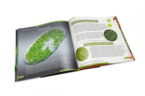 fotografía invisible World (el mundo invisible). El libro educativo. Tapa dura,  9