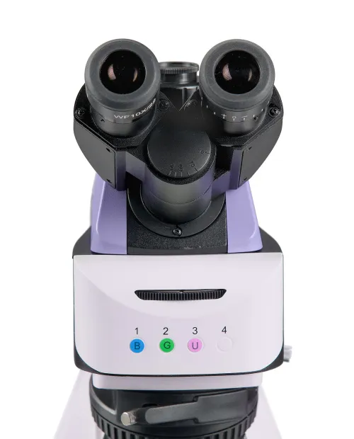 foto microscopio de fluorescencia MAGUS Lum 460L,  9