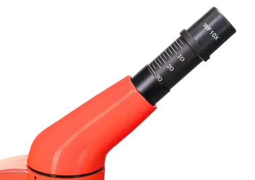 fotografía microscopio Levenhuk Rainbow 50L,  12