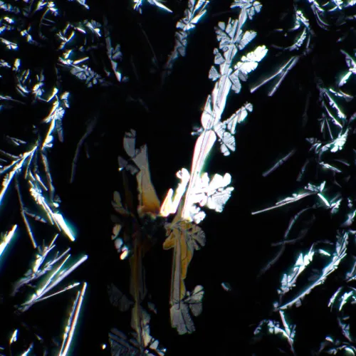 imagen kit de polarizador/analizador MAGUS SPD1,  7