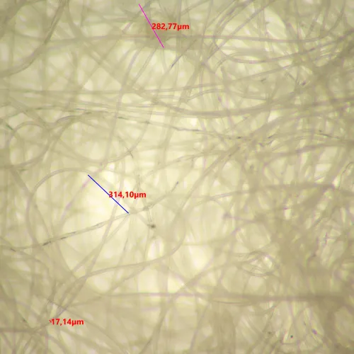 foto estereomicroscopio digital MAGUS Stereo D9T,  24
