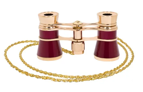 fotografía gemelos de ópera Levenhuk Broadway 325B,  7