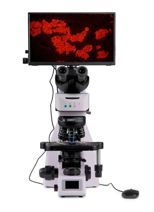 fotografía microscopio digital de fluorescencia MAGUS Lum D460L LCD,  9