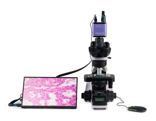 gráfico microscopio digital biológico MAGUS Bio D240T LCD,  5