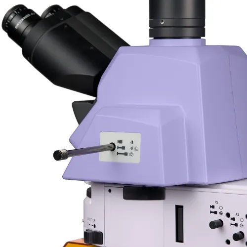 fotografía microscopio de fluorescencia MAGUS Lum 490L,  13