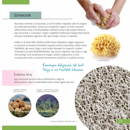 imagen libro enciclopédico «Space. Microworld.» (Espacio y microcosmos), edición de dos volúmenes. Tapa dura,  7