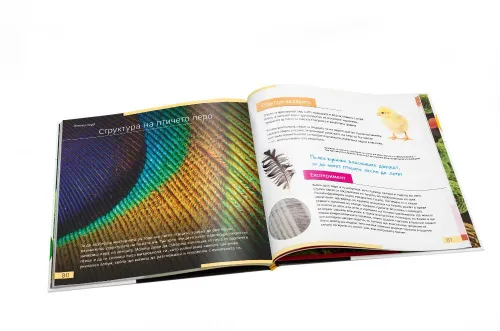 fotografía invisible World (el mundo invisible). El libro educativo. Tapa dura,  10